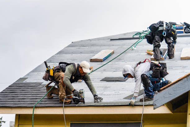 Professional Storm Damage Roof Repair technician working in Center, TX